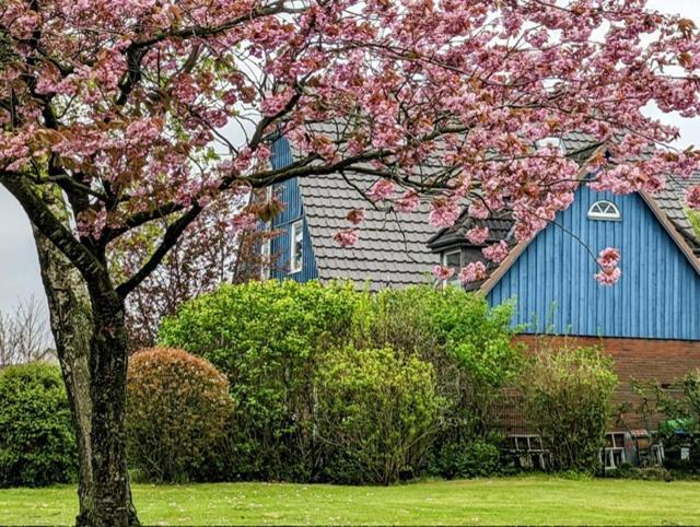플렌스부르크 Casa Azul 아파트 외부 사진